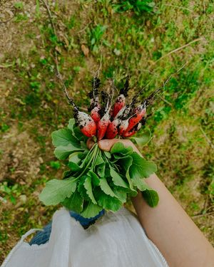 Image post by @thecottagepeach on Instagram