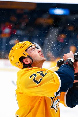 Image post by @PredsNHL on Twitter/X