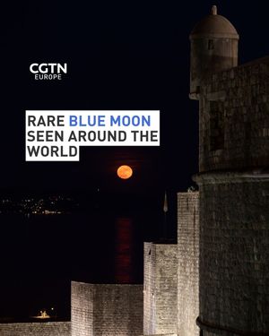 Image post by @cgtneurope on Instagram