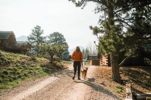 Image post by @lostfoxcreative on Instagram