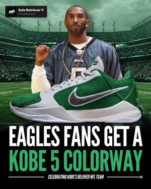 Image post by @soleretriever on Instagram