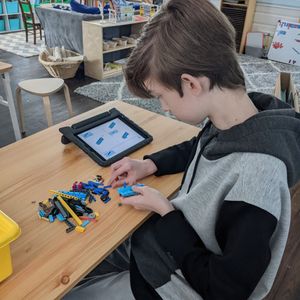 Image post by @mindsproutmontessori on Instagram