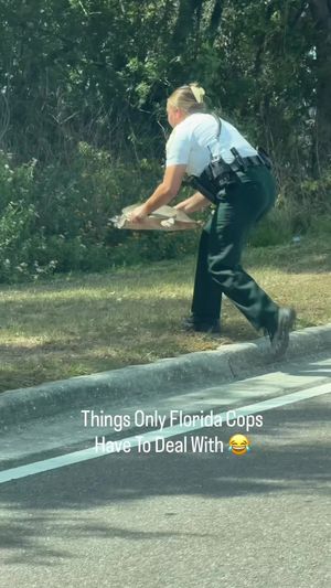 Video post by @luissantanaphoto on TikTok