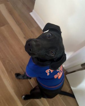 Image post by @barstoolflorida on Instagram