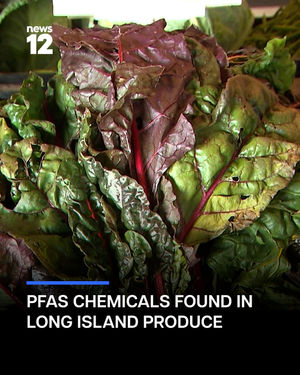 Image post by @news12li on Instagram