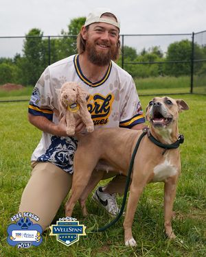 Image post by @yorkrevolution on Instagram