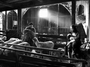 Image post by @leica_camera on Instagram