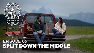 Video post by @officialcowboychannel on YouTube