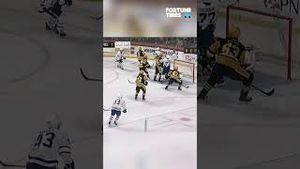 Video post by @flohockey on YouTube