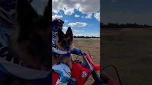 Video post by @carsonbrown910 on YouTube