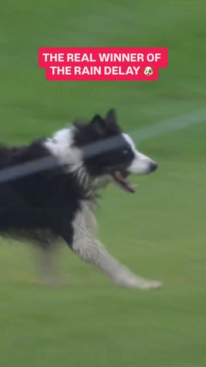 Video post by @nbcsports on TikTok