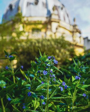 Image post by @oxford_uni on Instagram