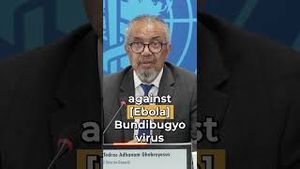 Video post by @who on YouTube