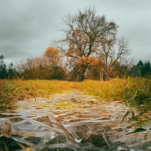Image post by @cristan.nature.photography on Instagram