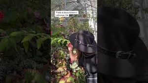 Video post by @catoura on YouTube