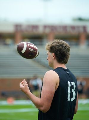 Image post by @elonfb on Instagram