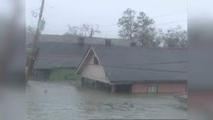 Video post by @wwltv on YouTube