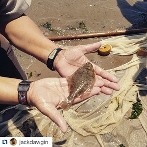 Image post by @worldscifest on Instagram
