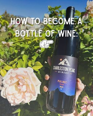 Image post by @charlestonpeakwinery on Instagram
