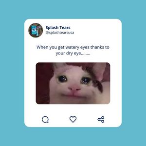 Image post by @SplashTearsUSA on Facebook