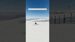 Video post by @mikaelashiffrin on YouTube