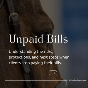 Image post by @theplaidhorsemag on Instagram