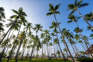 Image post by @vivaresorts on Instagram