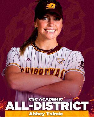 Image post by @cmichsoftball on Instagram