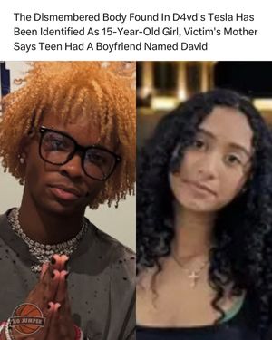 Image post by @nojumper on Instagram