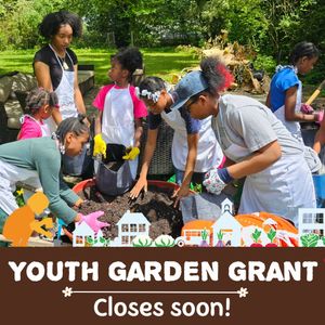 Image post by @kidsgardening on Instagram