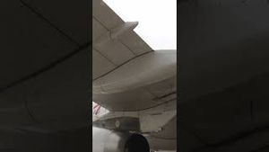 Video post by @nowthisnews on YouTube