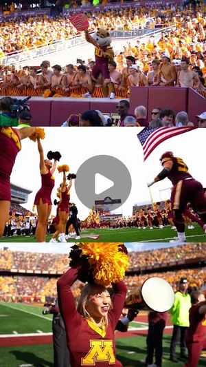 Image post by @gopherspiritsquad on Instagram