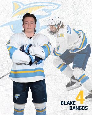 Image post by @liumhockey on Instagram