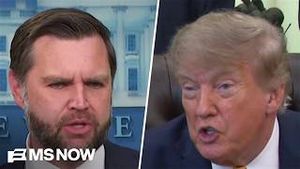 Video post by @msnbc on YouTube