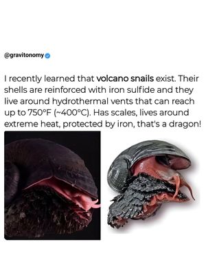 Image post by @gravitonomy on Instagram