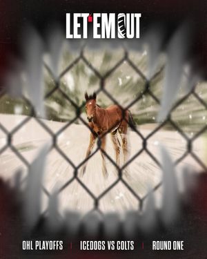 Image post by @ohlicedogs on Instagram