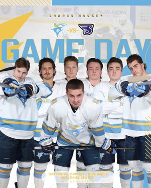 Image post by @liumhockey on Instagram