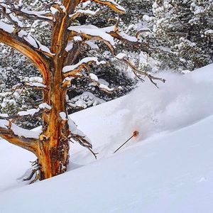 Image post by @j_skis on Instagram