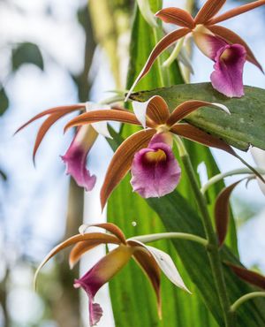 Image post by @ahs_gardening on Instagram