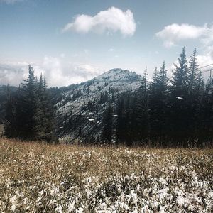 Image post by @pcski on Instagram