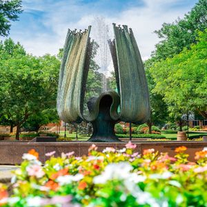 Image post by @marshallu on Instagram