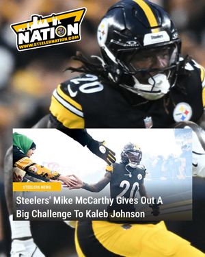 Image post by @steelernationcom on Instagram
