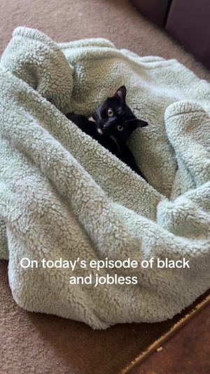 Video post by @couventcollective on TikTok