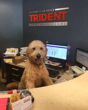 Image post by @tridentteambuild on Instagram