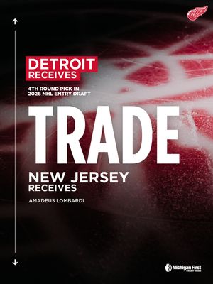 Image post by @detroitredwings on Instagram