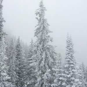 Image post by @skitaos on Instagram