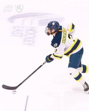 Image post by @merrimack_wih on Instagram