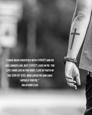 Image post by @petunia.photo on Instagram