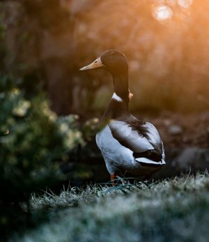 Image post by @stephenbroome_ on Instagram