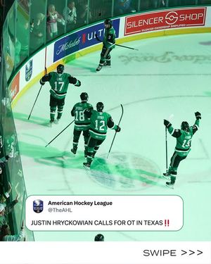 Image post by @theahl on Instagram